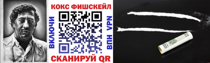 Купить закладки  Покровск  COCAIN Fish Scale 
