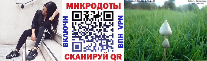 Галлюциногенные грибы прущие грибы  Купить  Покровск 